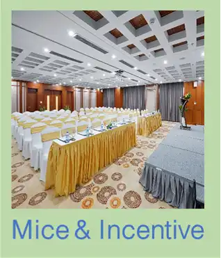 mice and incentive